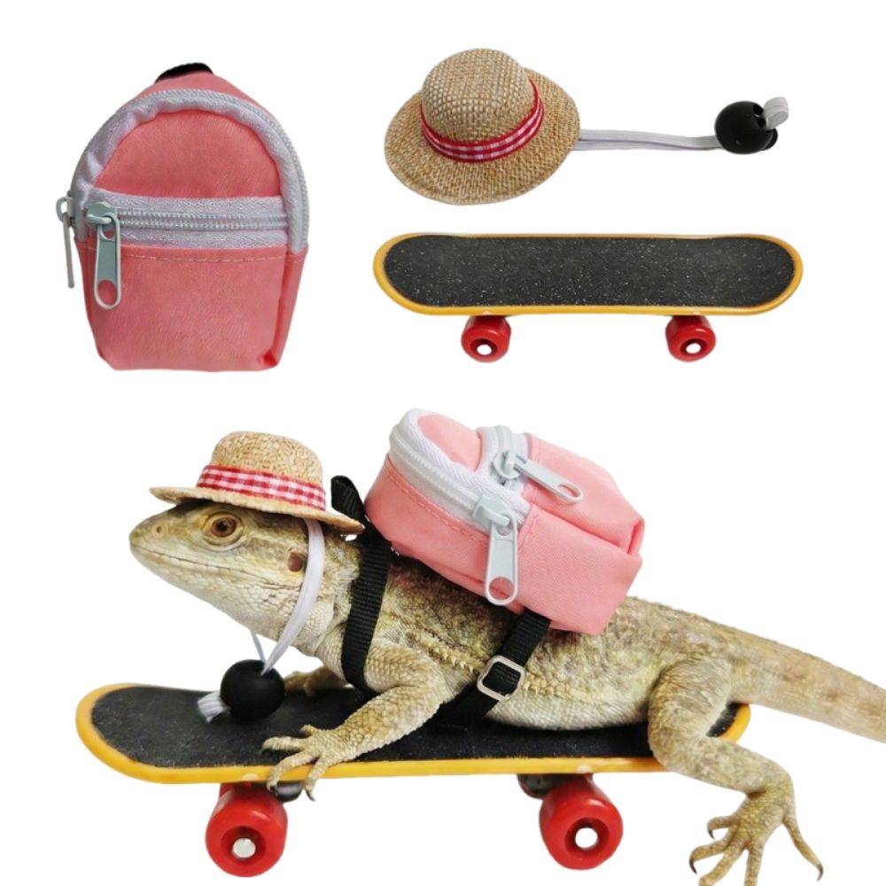 Creative Pet Skateboard Toys S - Model Kit Lizard 评论和价格