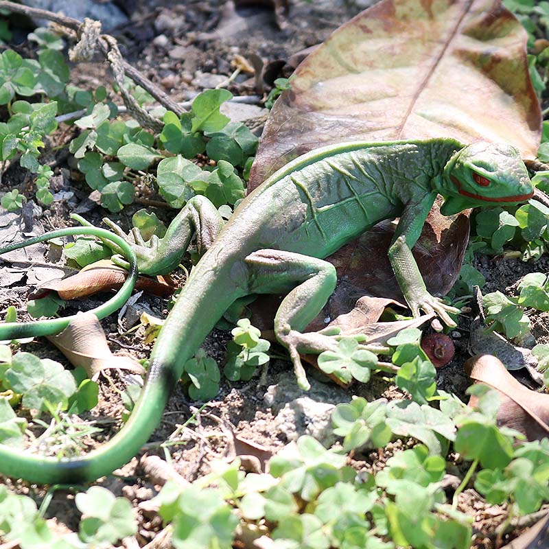 Oenux Farm Wild Model Simulati - Model Kit Lizard 评论和价格