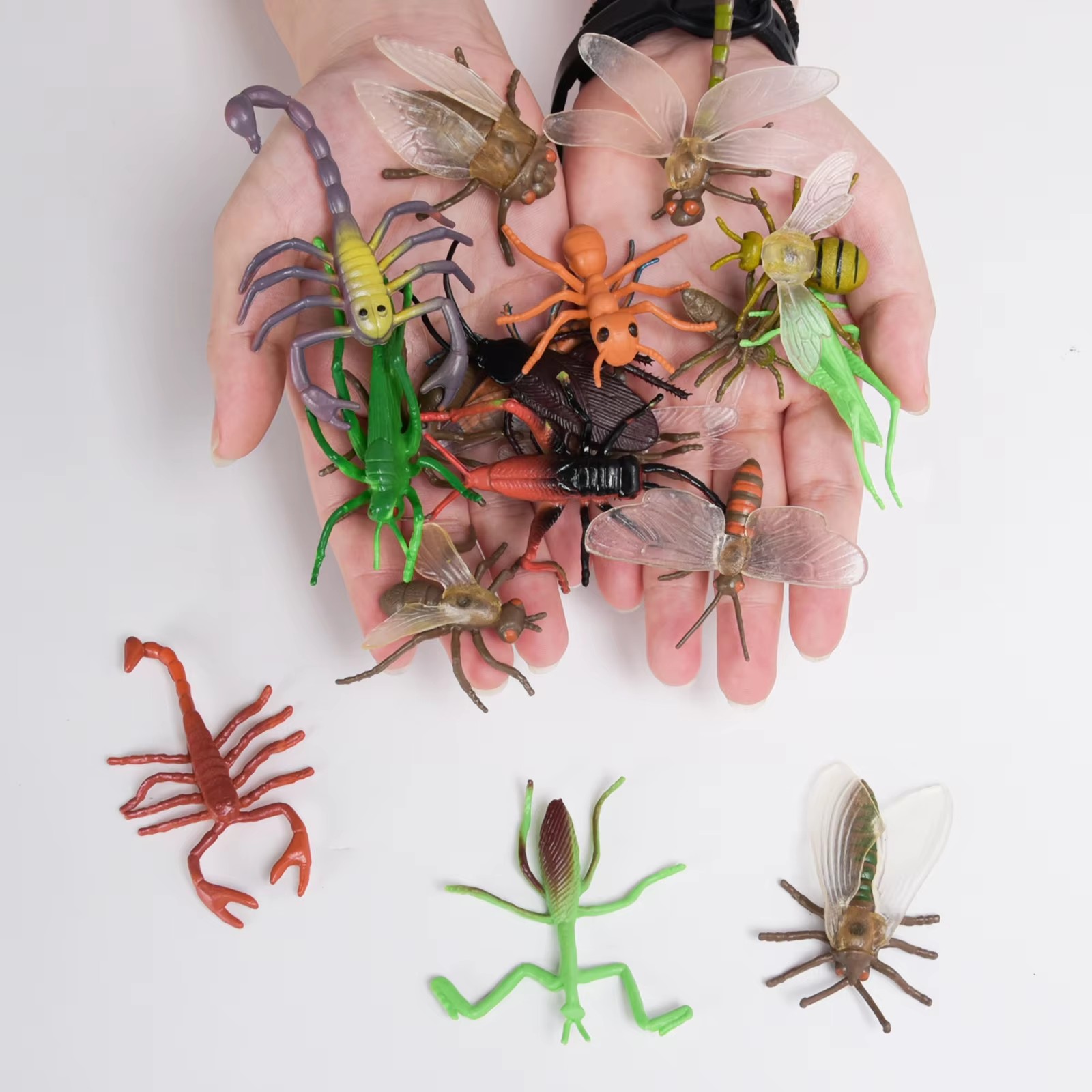 Oenux Wild Insect Animals Mode - Model Kit Lizard 评论和价格